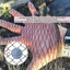 Red estanque 10x10ft malla 1/2pulg contra pájaros gatos