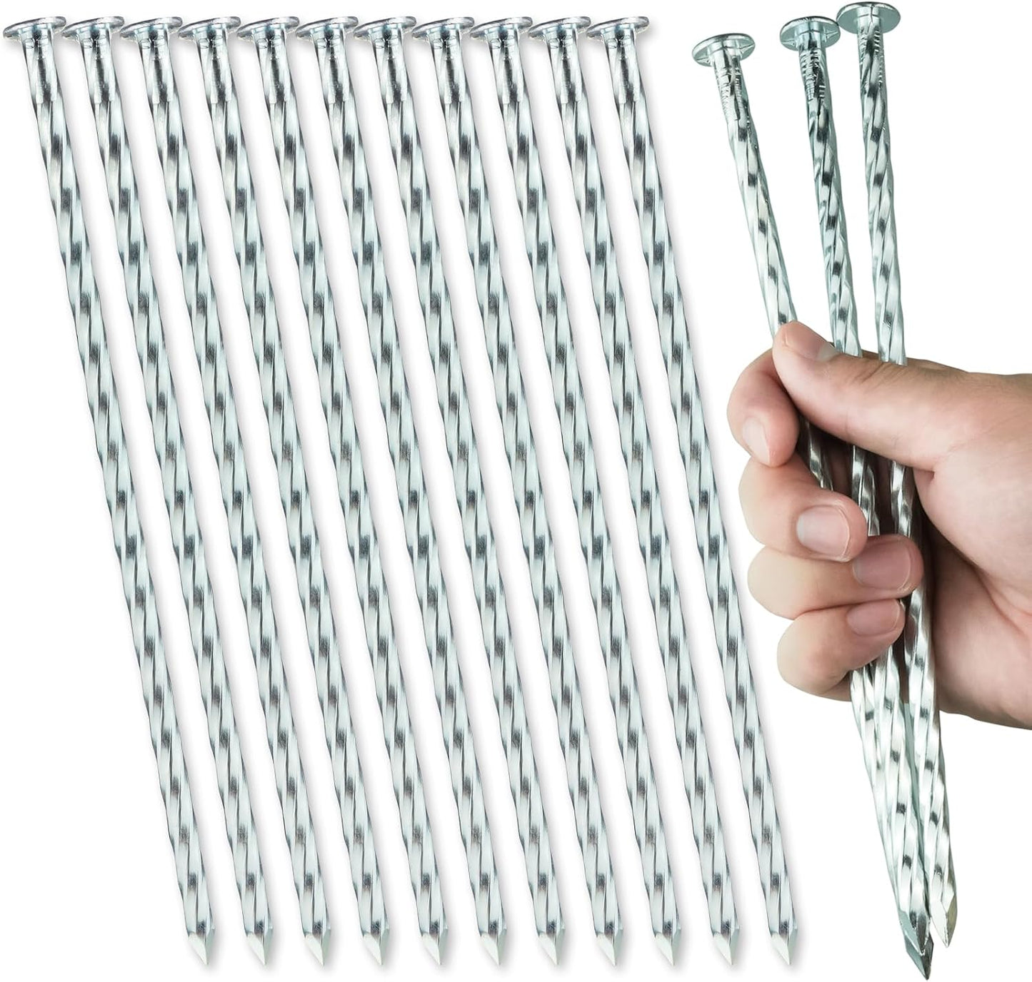 Estacas paisaje 10pulg 20 clavos galvanizados