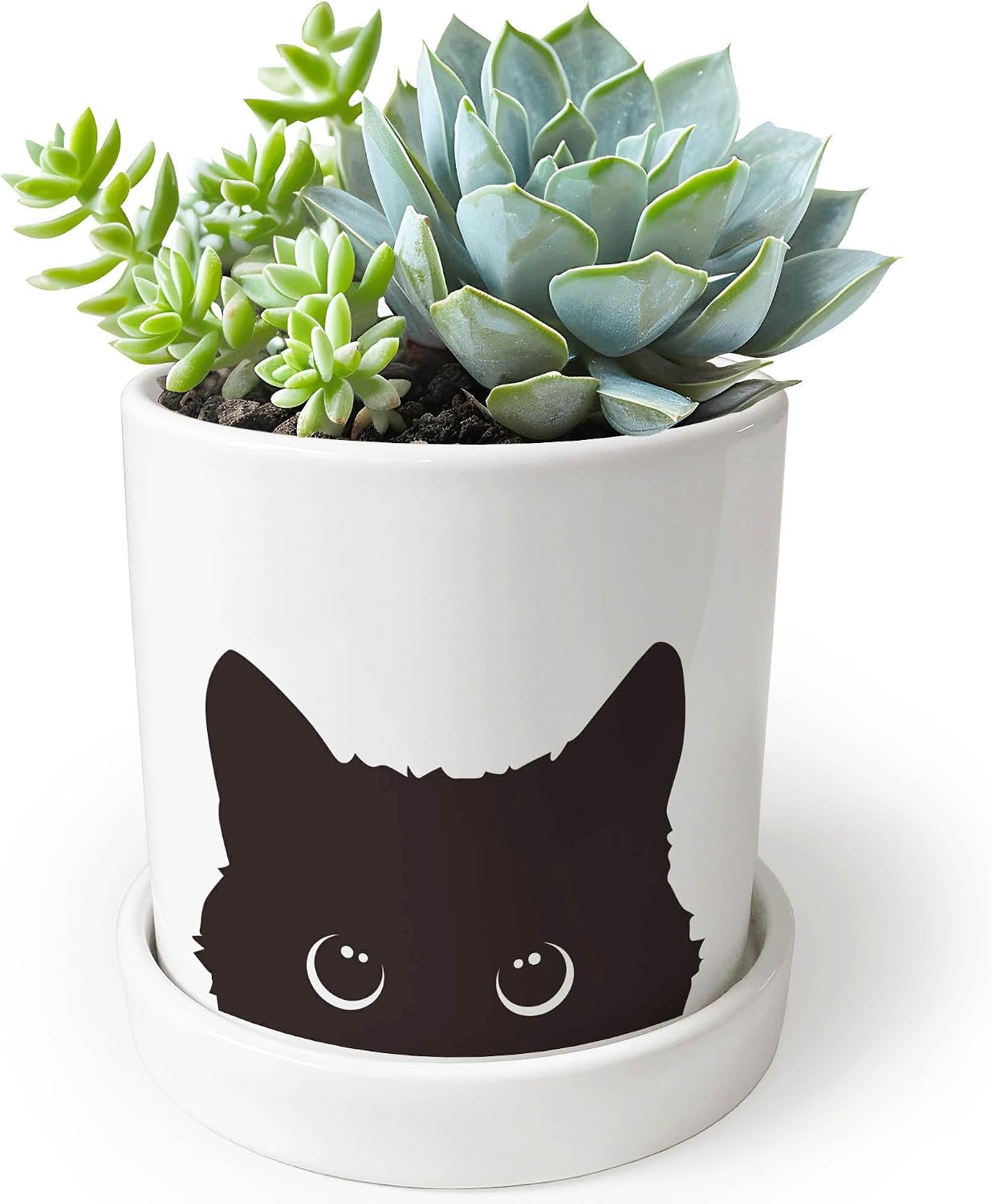 Maceta cerámica gato negro 4.3pulg con drenaje y bandeja