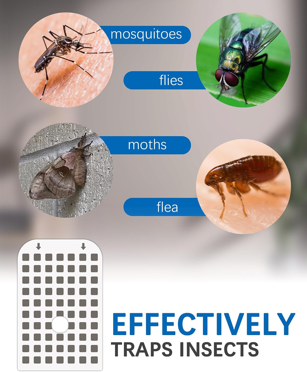 20 Tarjetas Pegamento Comp DFAGIE GS6 Trampa Mosquitos Fruta