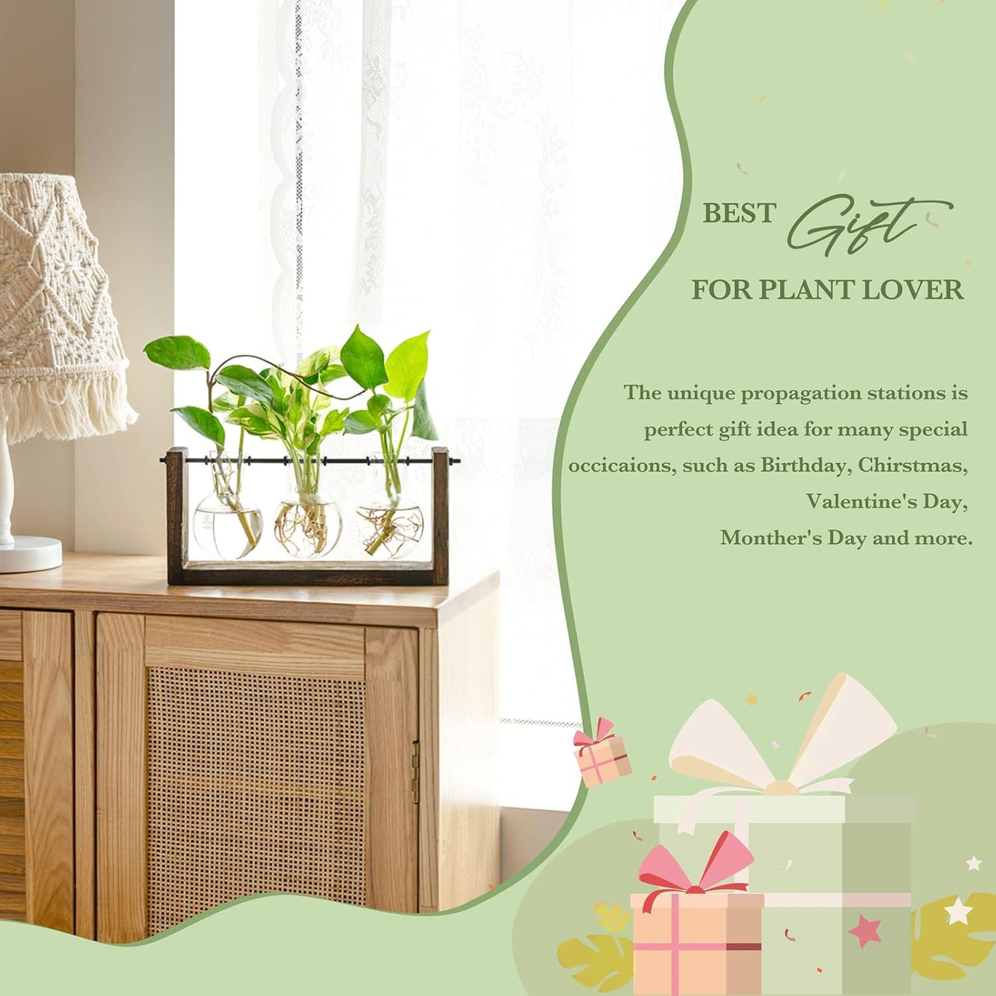 Soporte propagación plantas madera maceta vidrio decoración