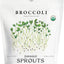 Semillas orgánicas brote brócoli 8oz para germinar