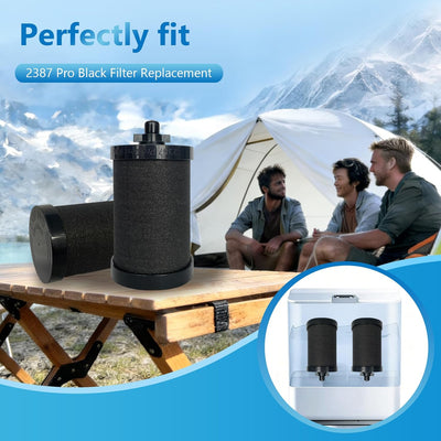 Reemplazo de filtro Alexapure Pro 2387, 2 paquetes 5000 galones