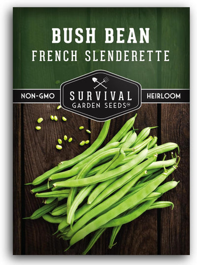Semillas frijol Slenderette Bush para huerto