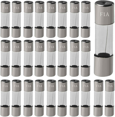 30 Fusibles Vidrio Acción Lenta 0.2x0.78pulg 1A 250V