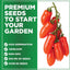 Semillas tomate San Marzano sin OMG 90+ pzas