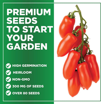 Semillas tomate San Marzano sin OMG 90+ pzas