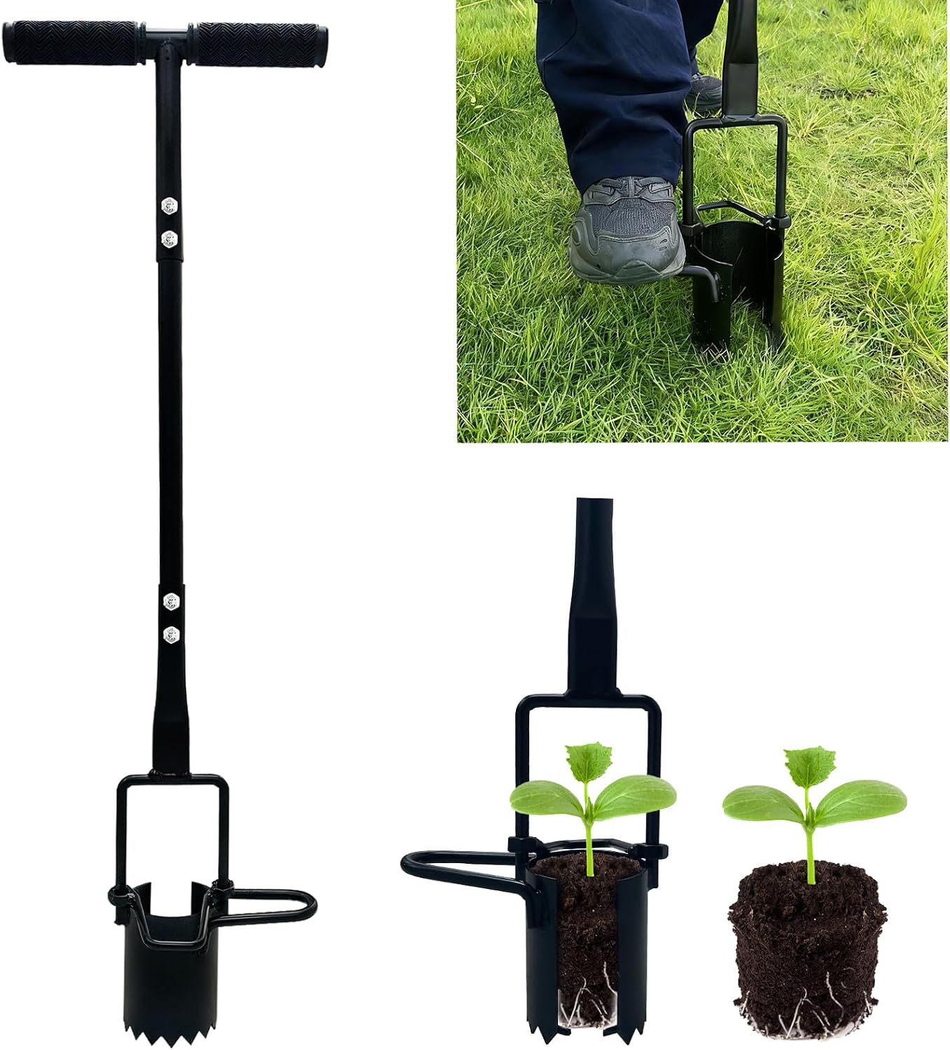 Herramienta plantar bulbos mango largo base dentada