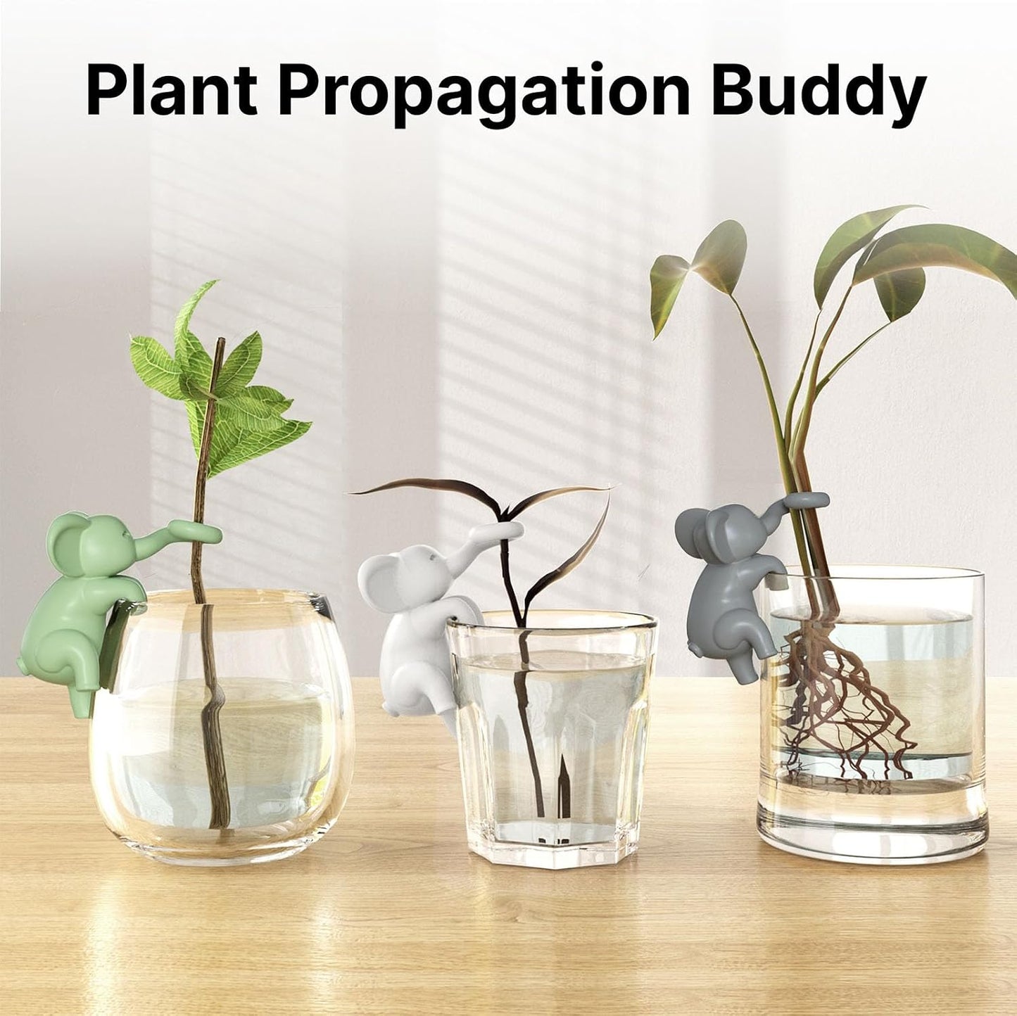 Soporte plantas hidroponía decoración terrario