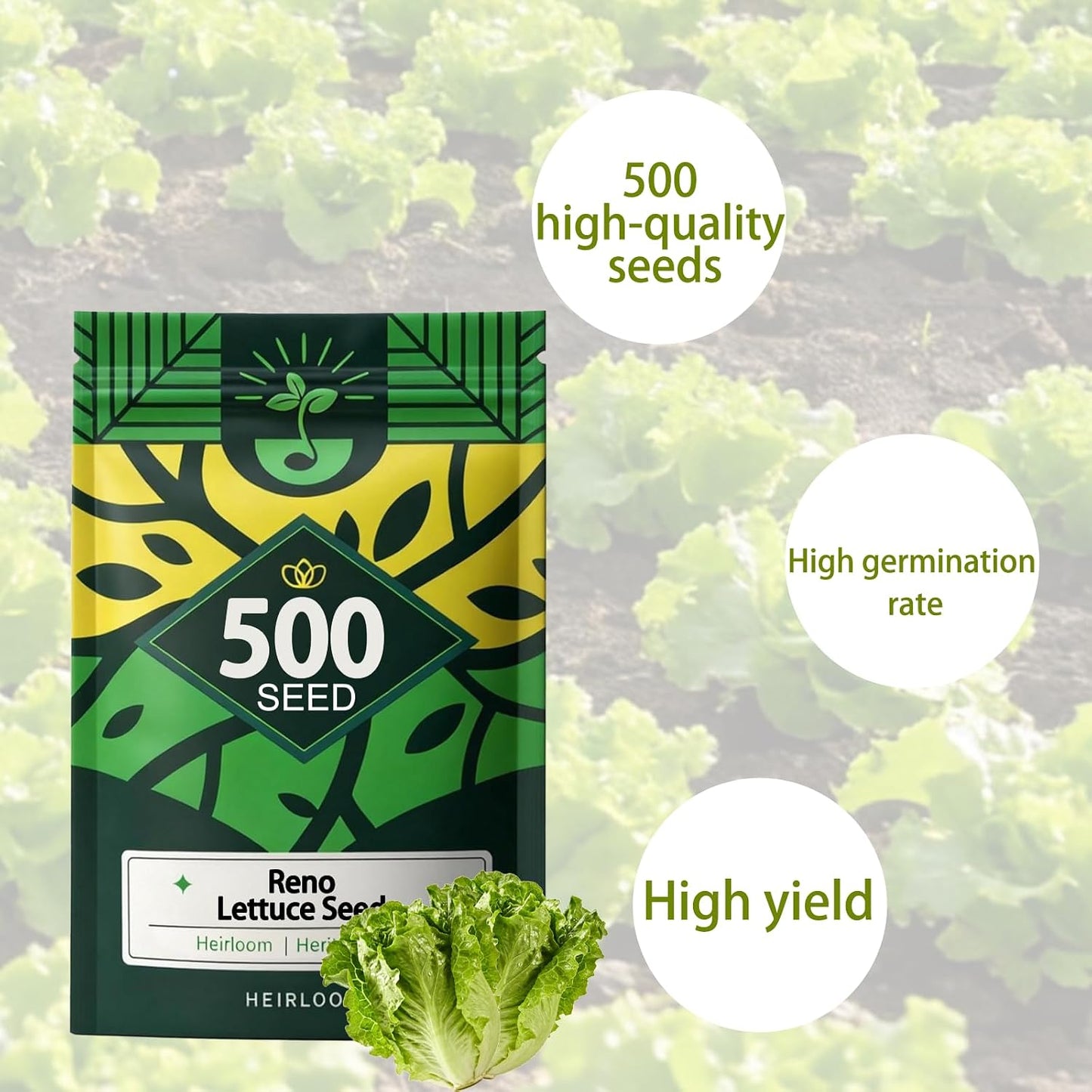 5000 semillas lechuga para plantar