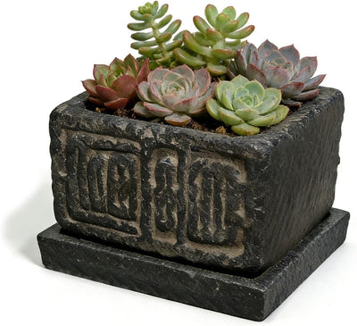 Maceta cuadrada piedra para suculentas y cactus decorativo rústica