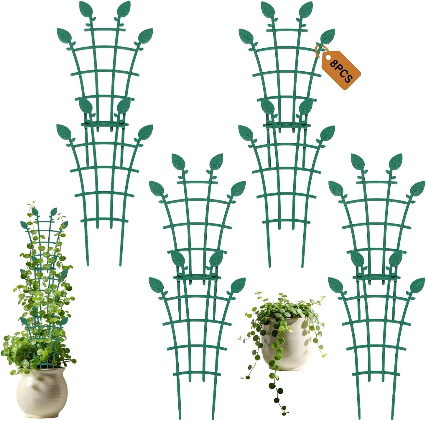 Enrejado apilable para plantas trepadoras Pothos Hoya