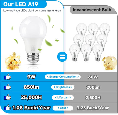 Bombilla LED A19 9W 6000K Base E26 Set 6
