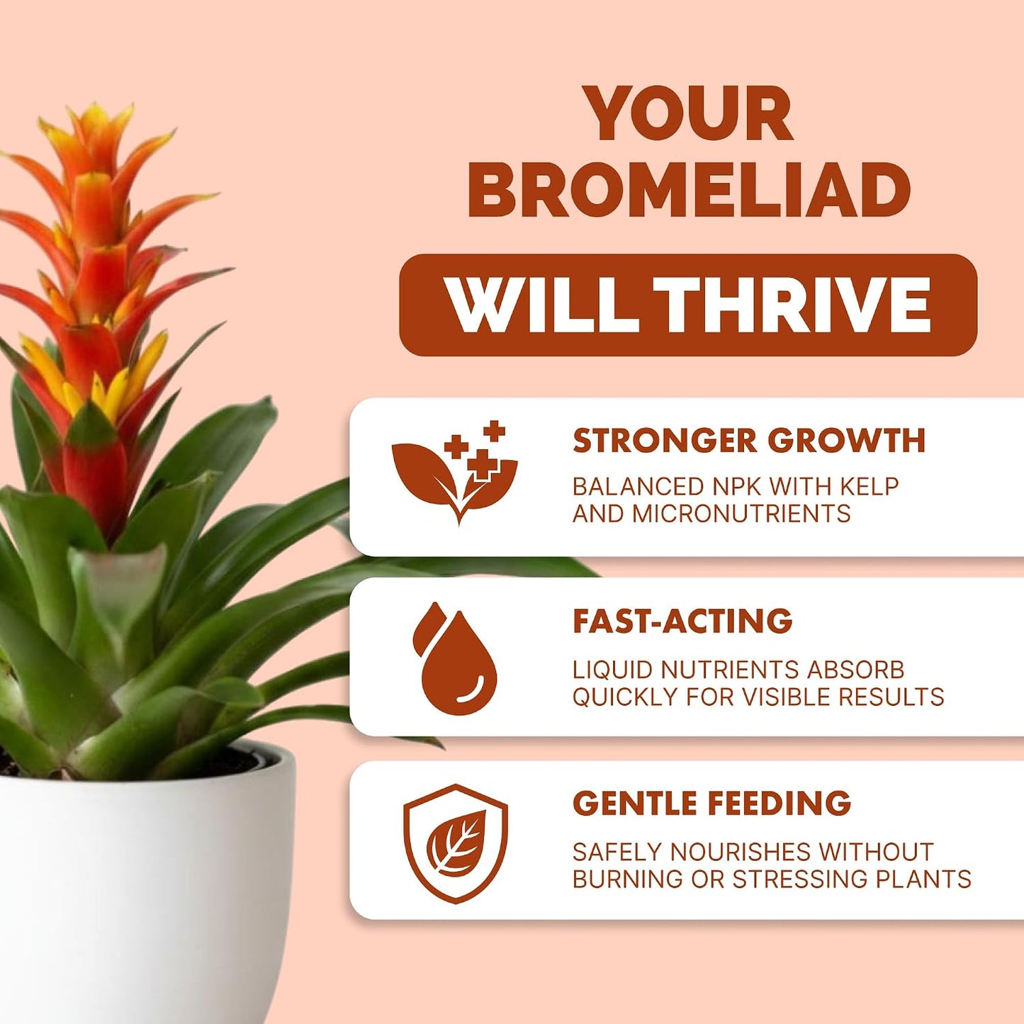Fertilizante líquido bromelia para plantas 8oz