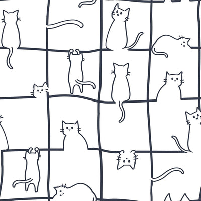 Papel tapiz gatos negros y blancos para baño y dormitorio