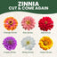 Semillas Zinnia 4oz Bolsa 16000 unidades