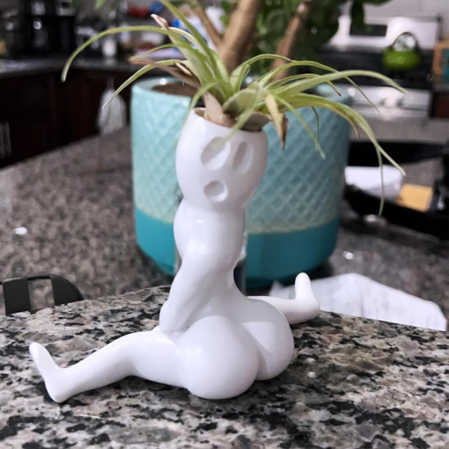 Maceta fantasma Halloween para helechos de aire decoración