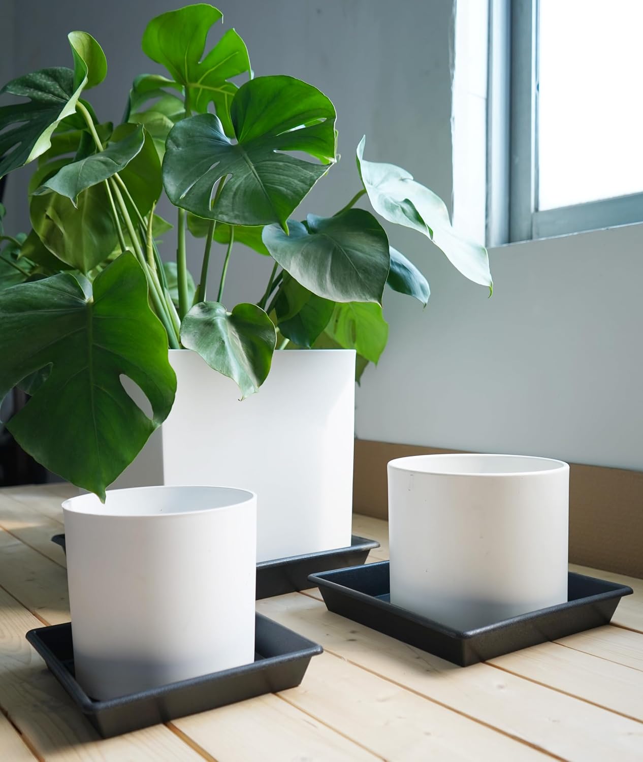 5 Platillos Cuadrados Plástico 6-20pulg para Plantas Resistente