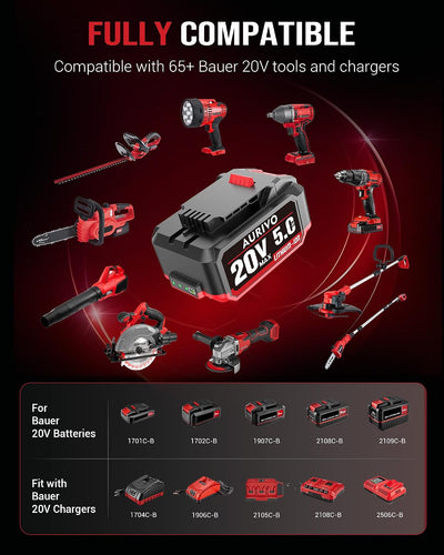 Batería repuesto 5.0Ah litio 20V para 65 herramientas Bauer