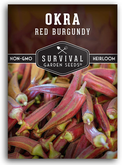 Semilla Okra rojo burdeos para plantar con instrucciones