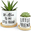 Maceta Say Aloe para Aloe Juego 2 Interiores Sin Plantas