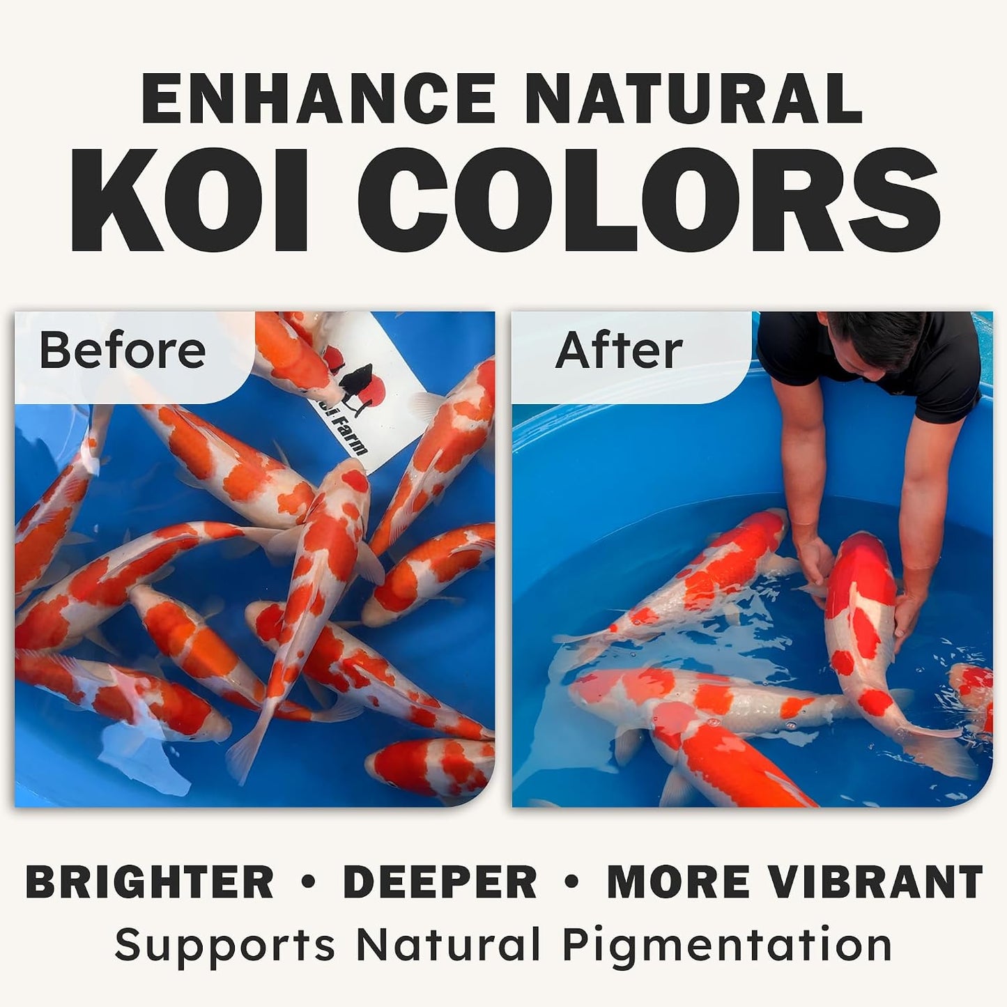 Alimento para koi color dorado 11lb pellets flotantes