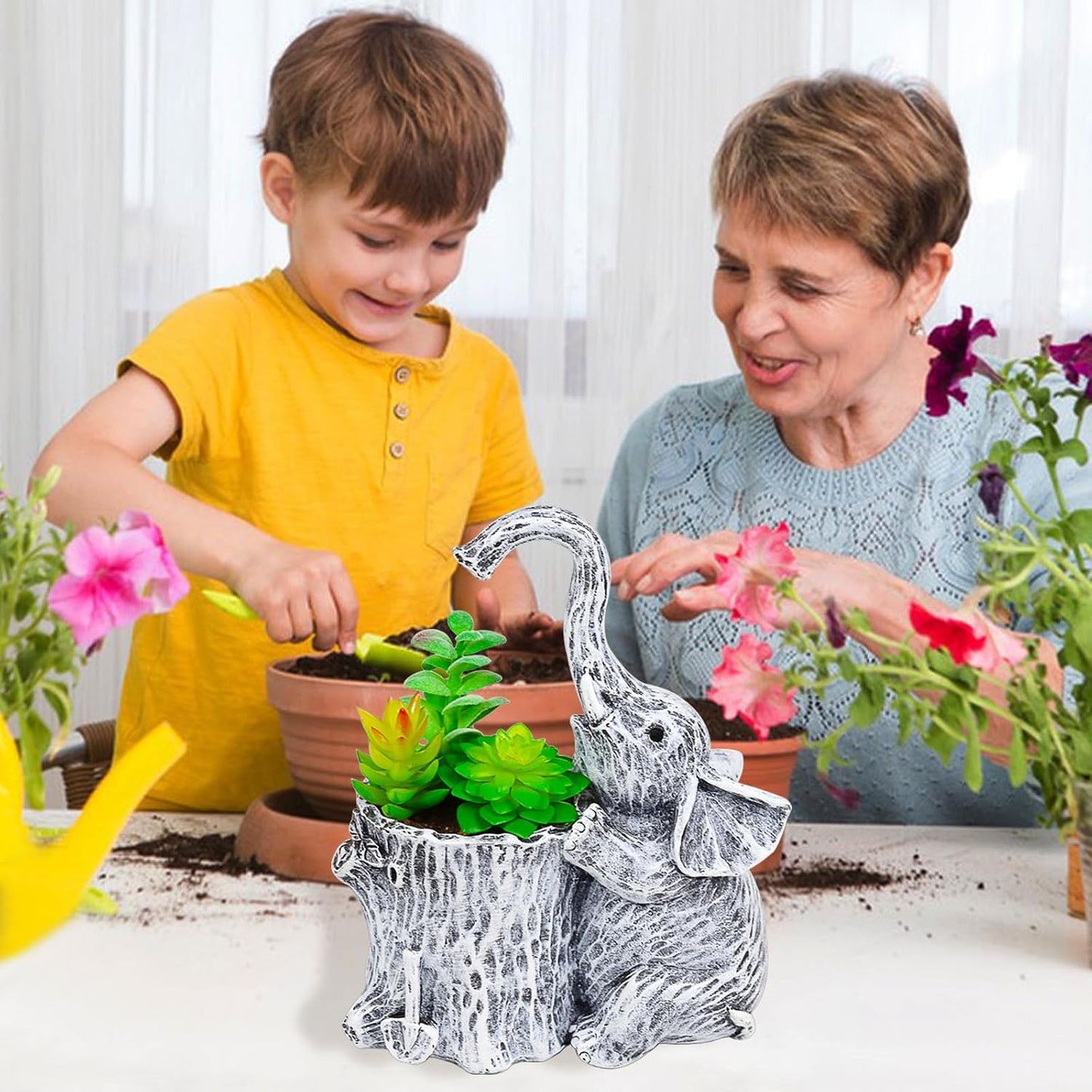 Macetas para suculentas regalo para mujer jardinero
