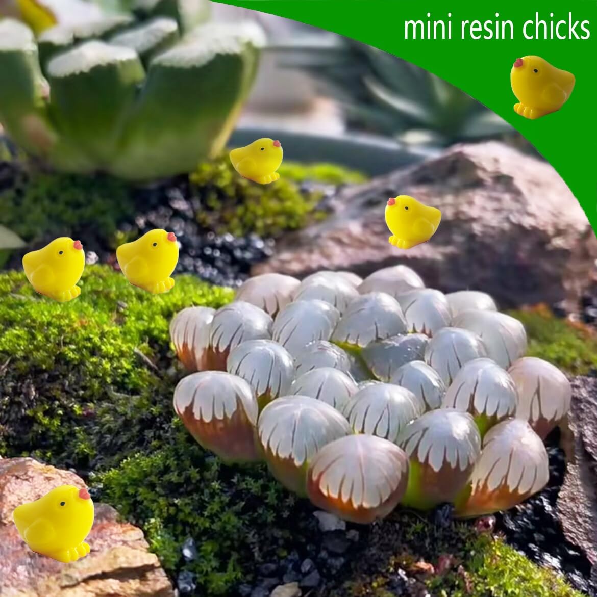 200 Pzas Mini Pollos Resina Jardín de Hadas Terrario