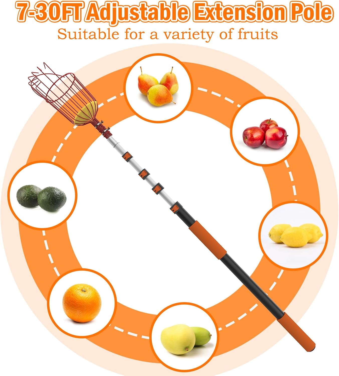 Recogedor frutas 36ft poste cesta telescópica