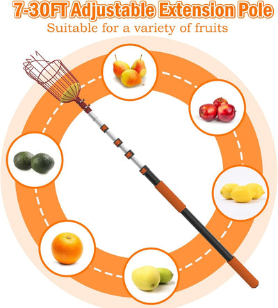 Recogedor frutas 36ft poste cesta telescópica