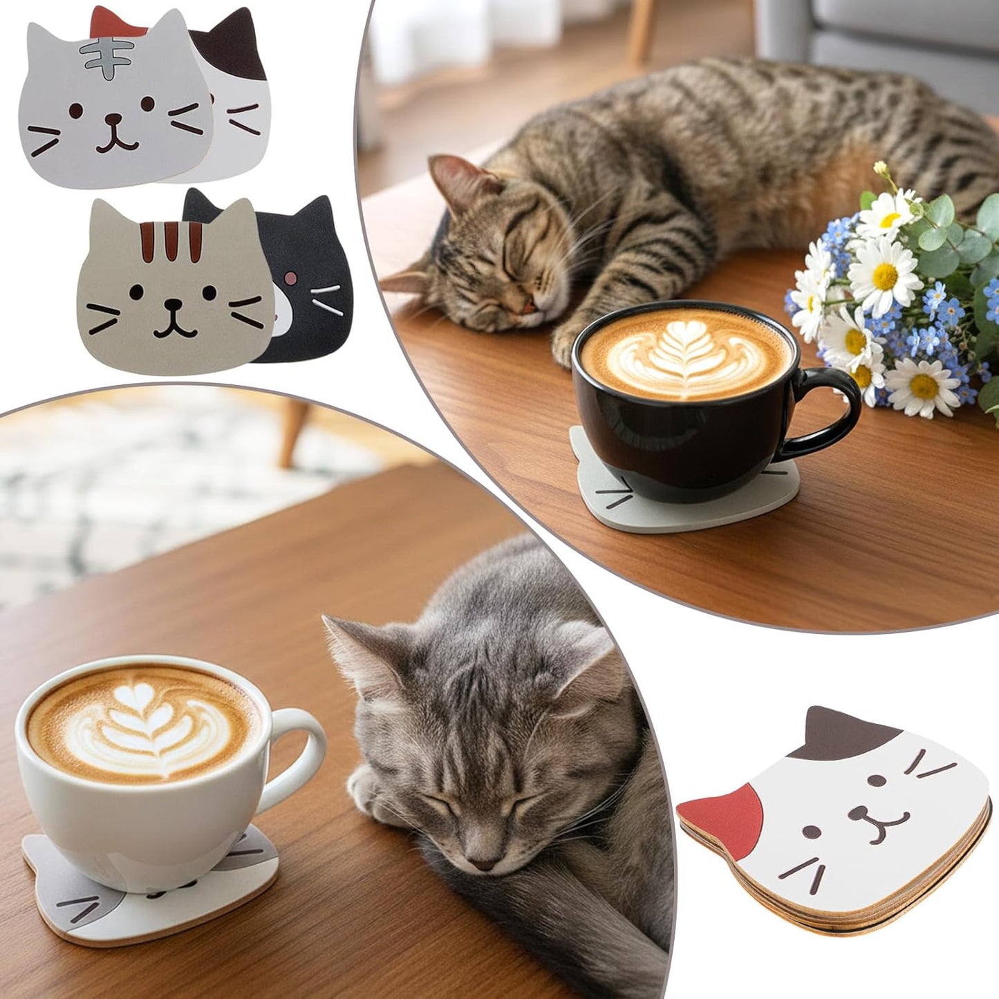 5 Posavasos Gato Aislamiento Madera Escritorio Oficina
