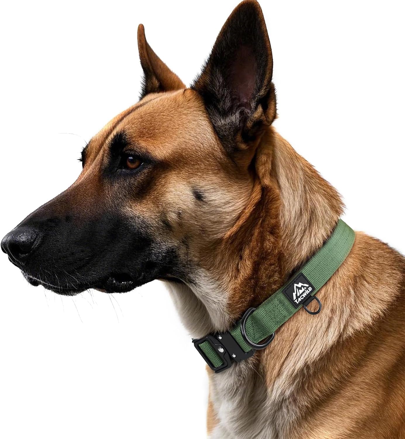 Collar perro grande ajustable a prueba de mordidas anillo D verde