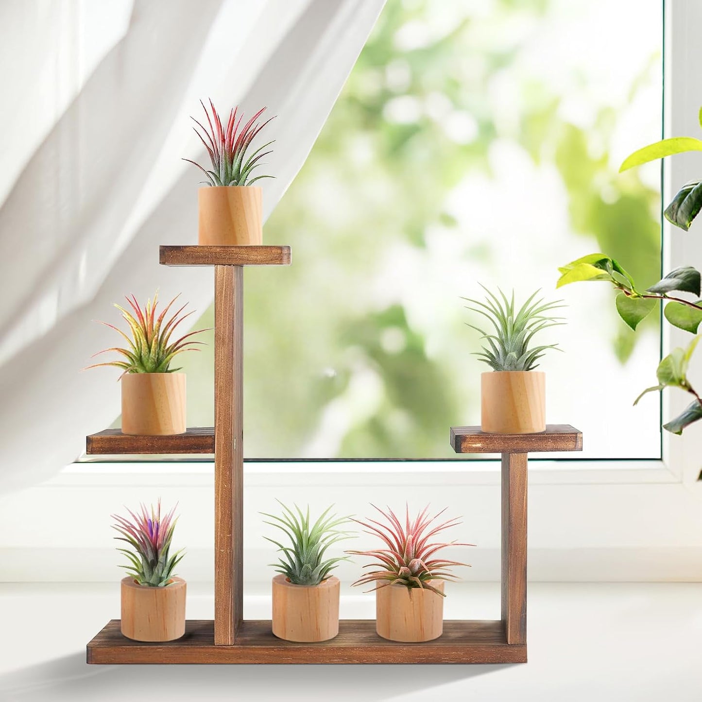 6 Soportes Madera Plantas Aire Estilo Rústico 1.2pulg