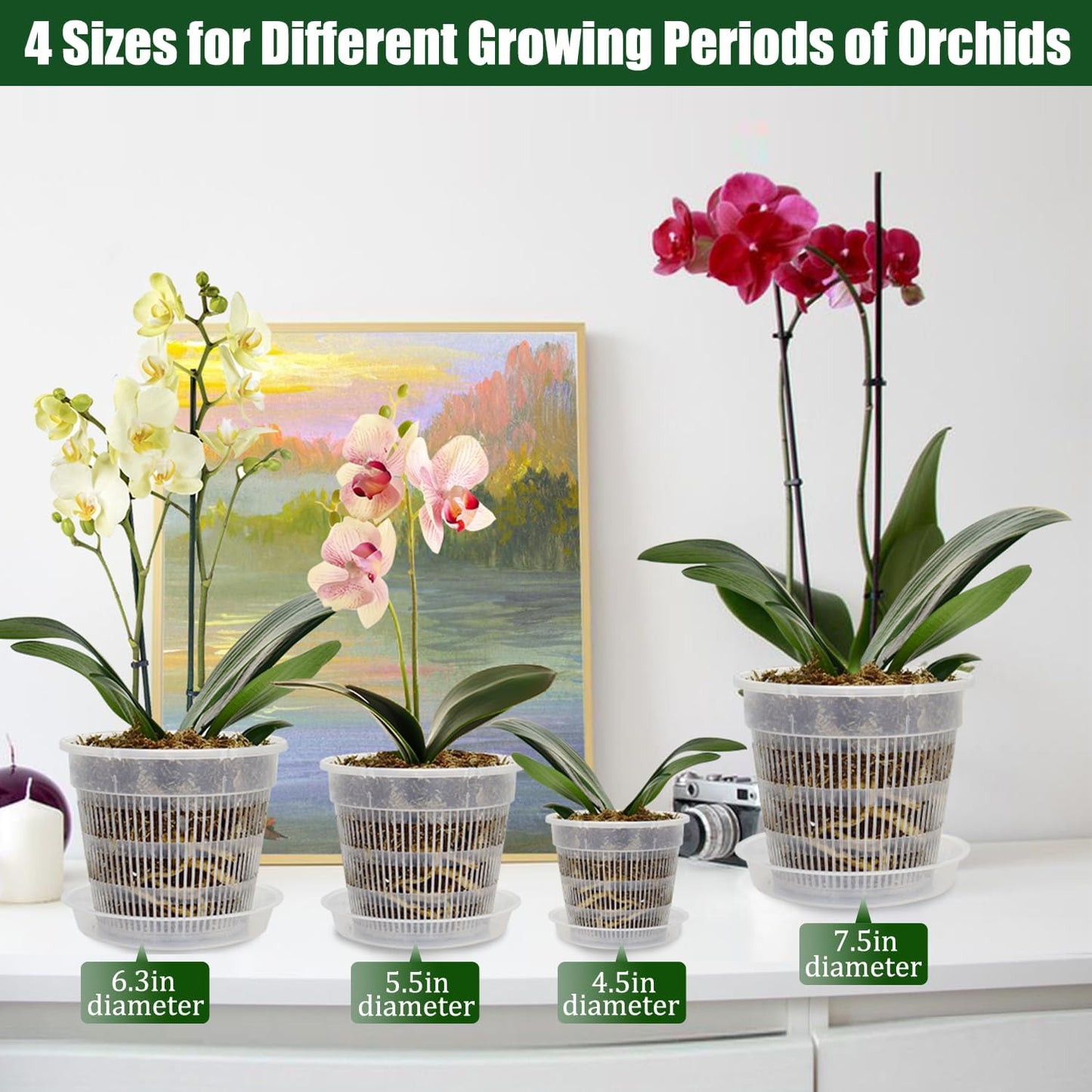 12 Macetas Plástico Orquídeas 4.5-7.5pulg Con Agujeros