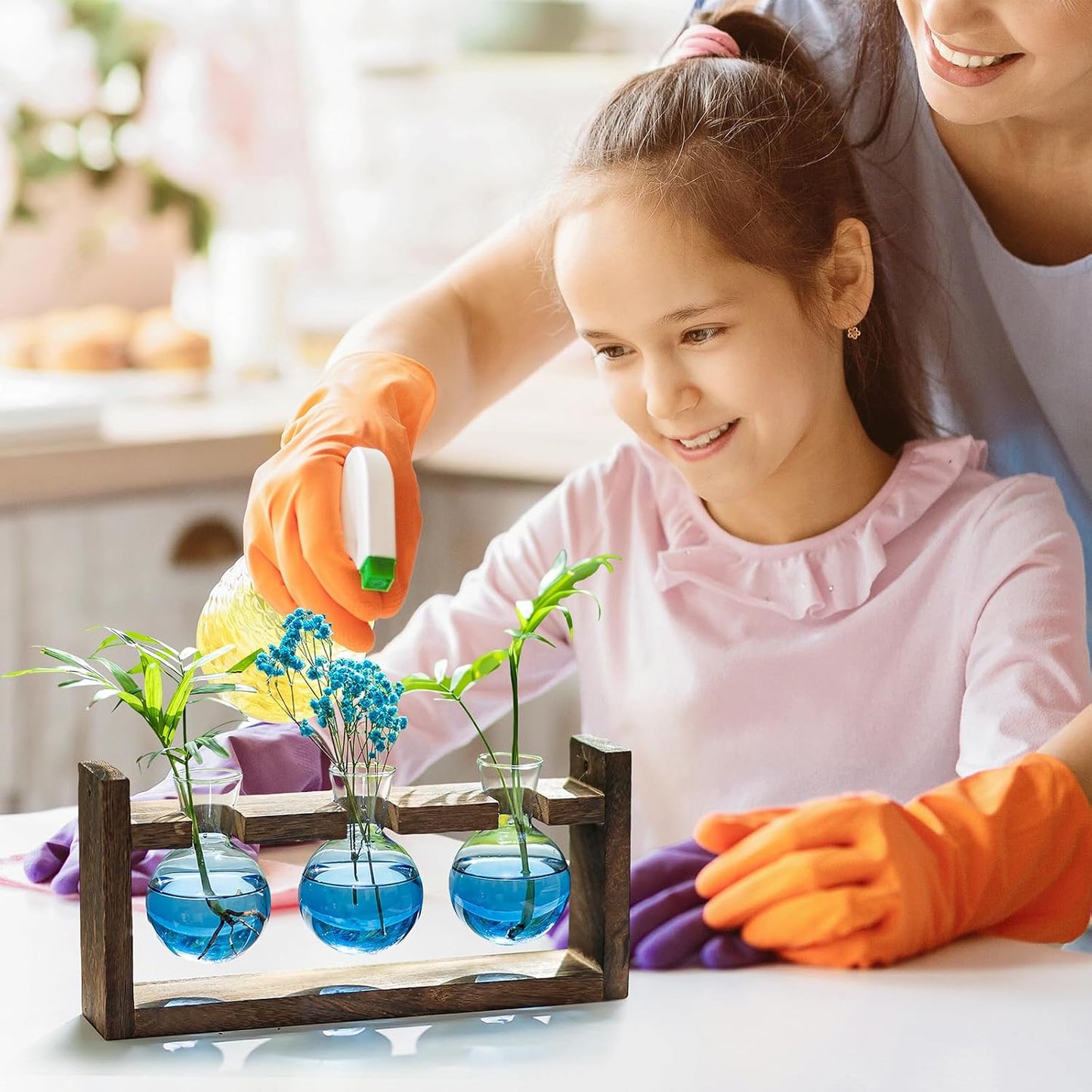 Soporte propagación plantas madera terrario regalo