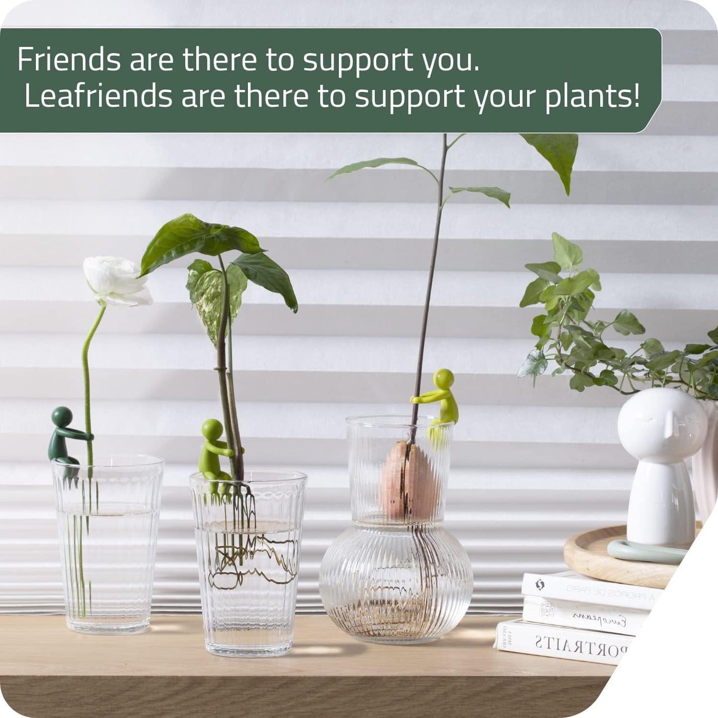Soportes para propagación de plantas 3 piezas jardín interior