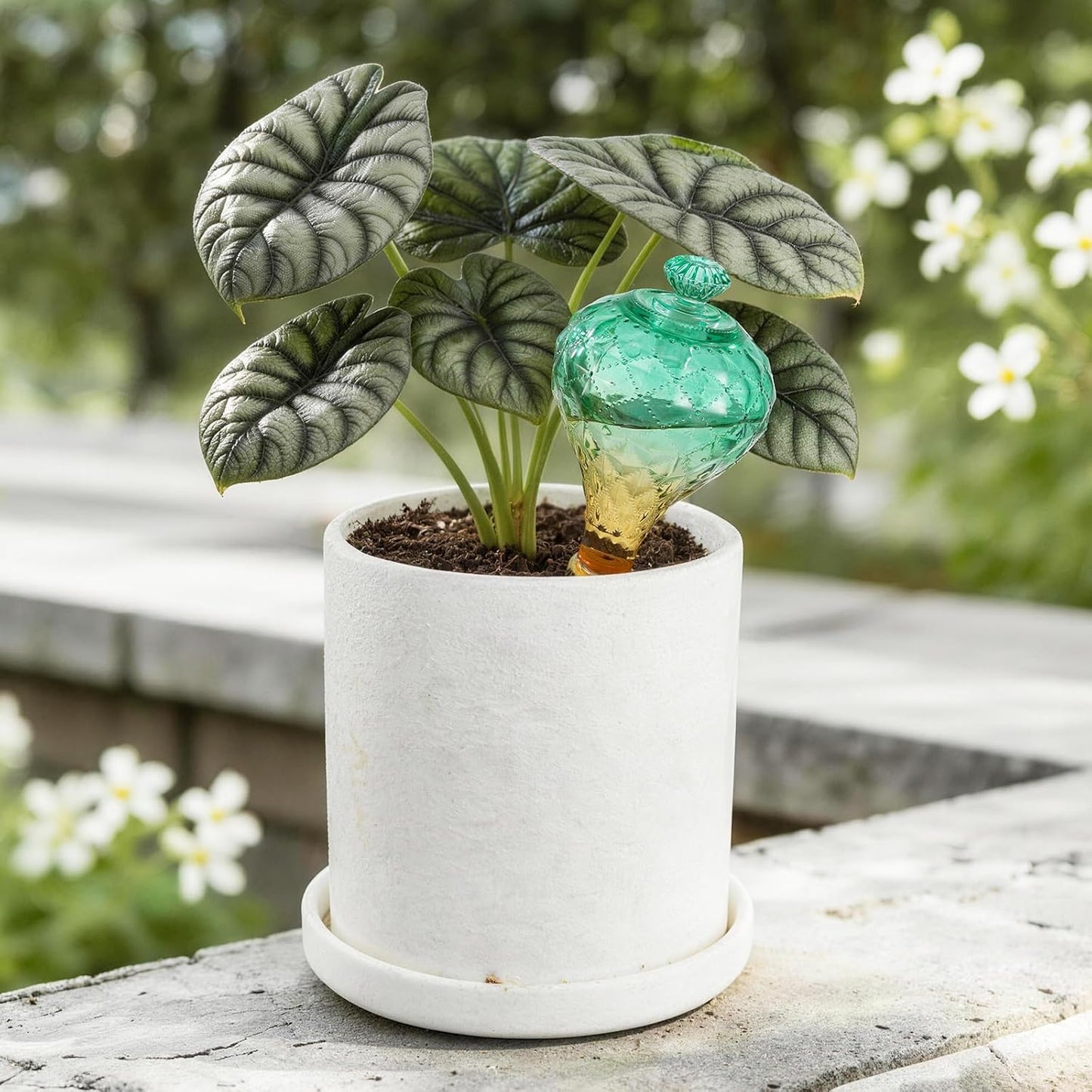 Globos riego 12oz vidrio verde con estacas terracota