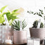 200 Etiquetas Plástico 4pulg Impermeables Jardinería