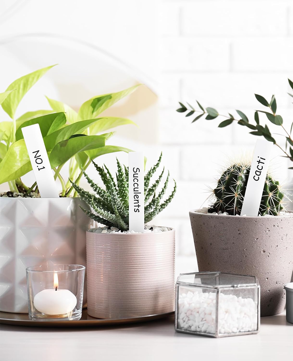 200 Etiquetas Plástico 4pulg Impermeables Jardinería