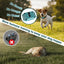 Collar vibratorio perros 5-15lb control remoto