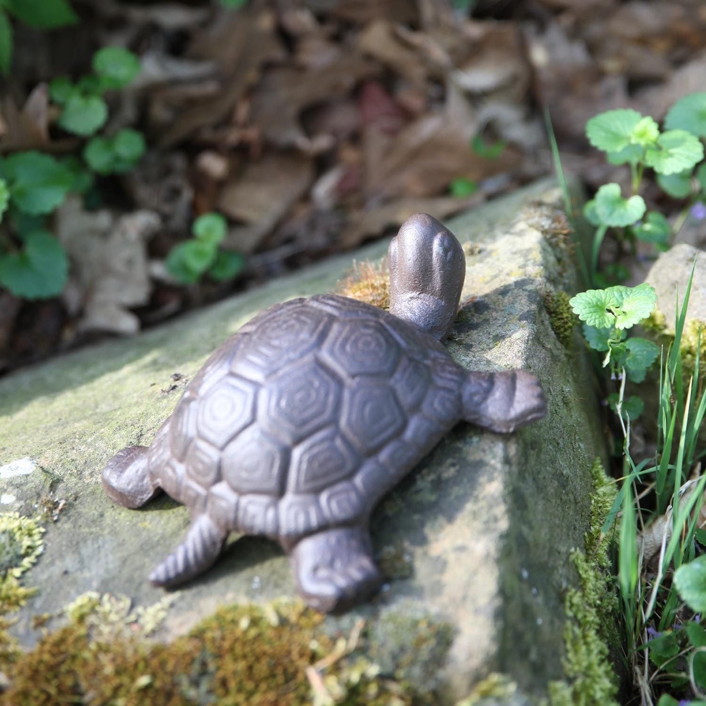 Tortuga decorativa hierro fundido grande