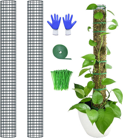 2 Pzas Poste Musgo Sphagnum Apilable para Monstera