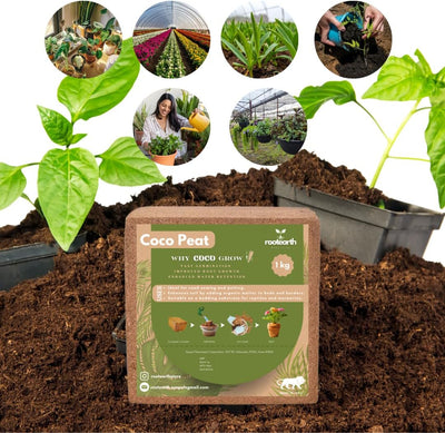 Ladrillo coco orgánico 2.2lb para cultivo interior y exterior