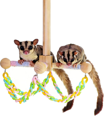 Juguetes colgantes madera natural para Sugar Glider