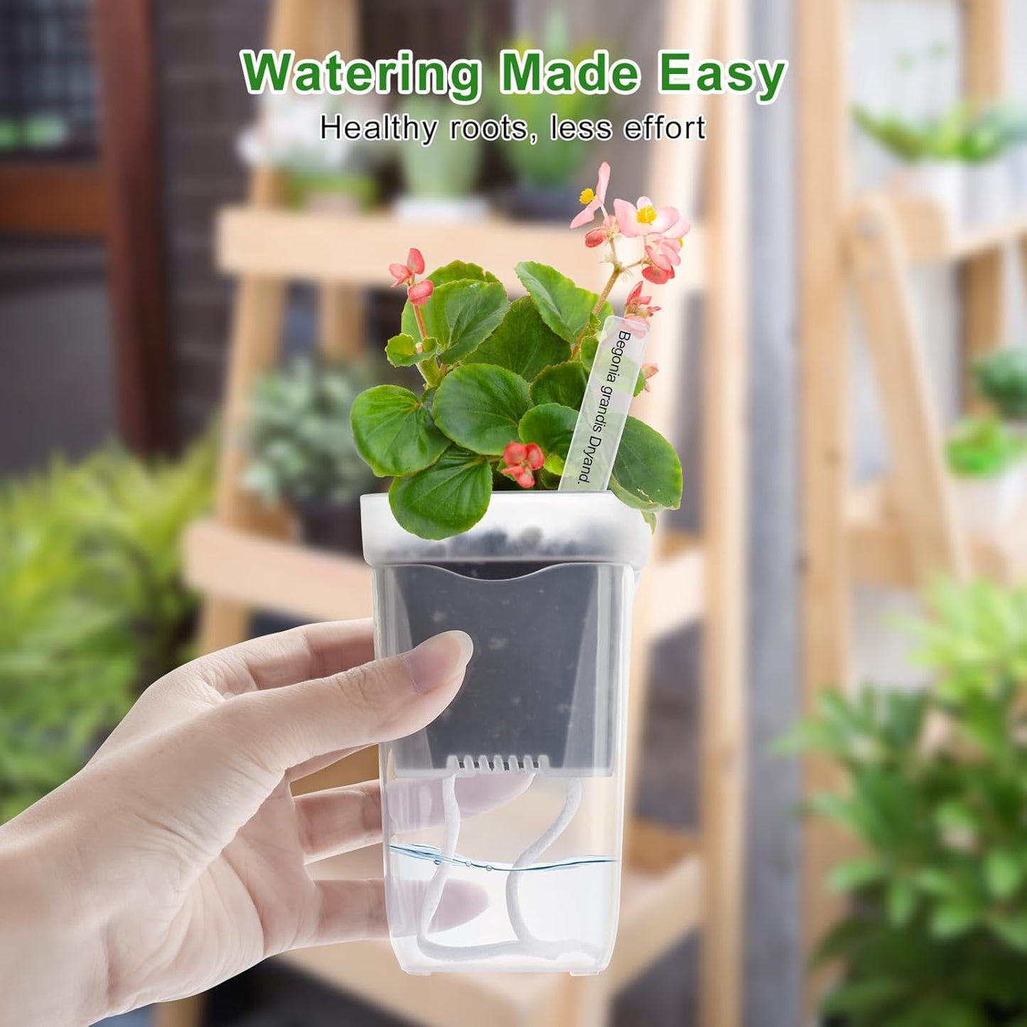 12 Macetas Riego Automático Plástico 2pulg Transparente