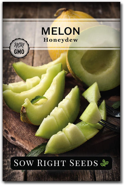Semillas melón verde para plantar huerto casero