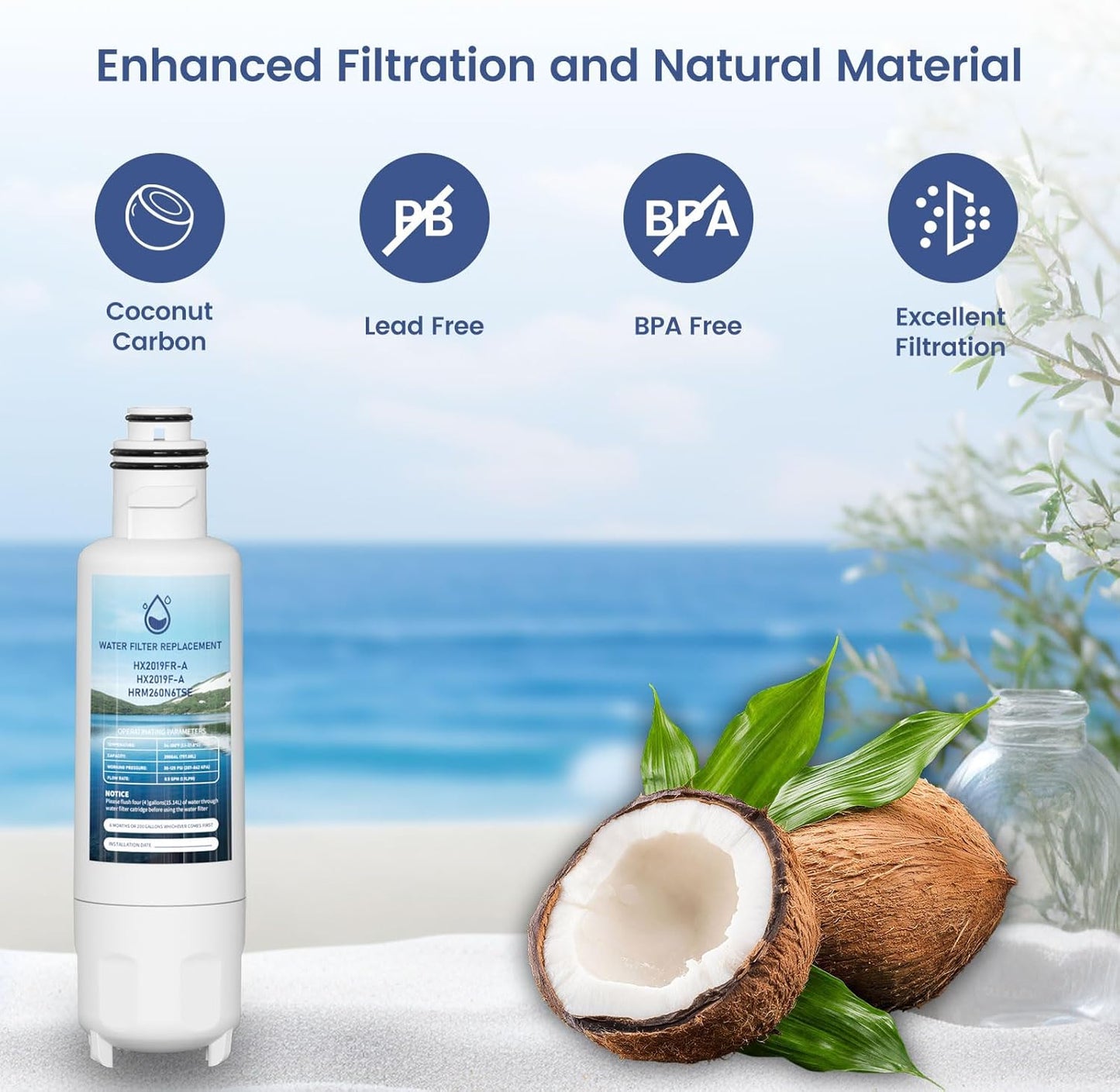 Filtro agua comp Hisense HX2019FR-A Pack 2