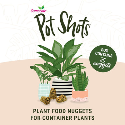 Alimento para plantas domésticas 25 pepitas 6 meses