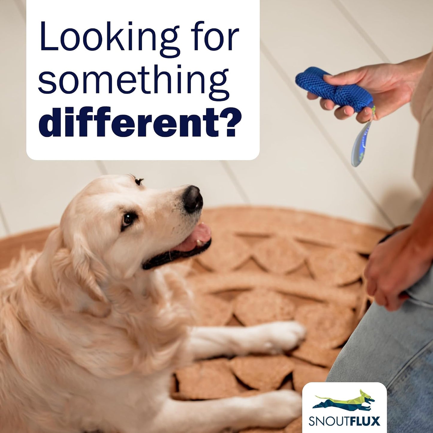 Juego interactivo para perros con aroma anís