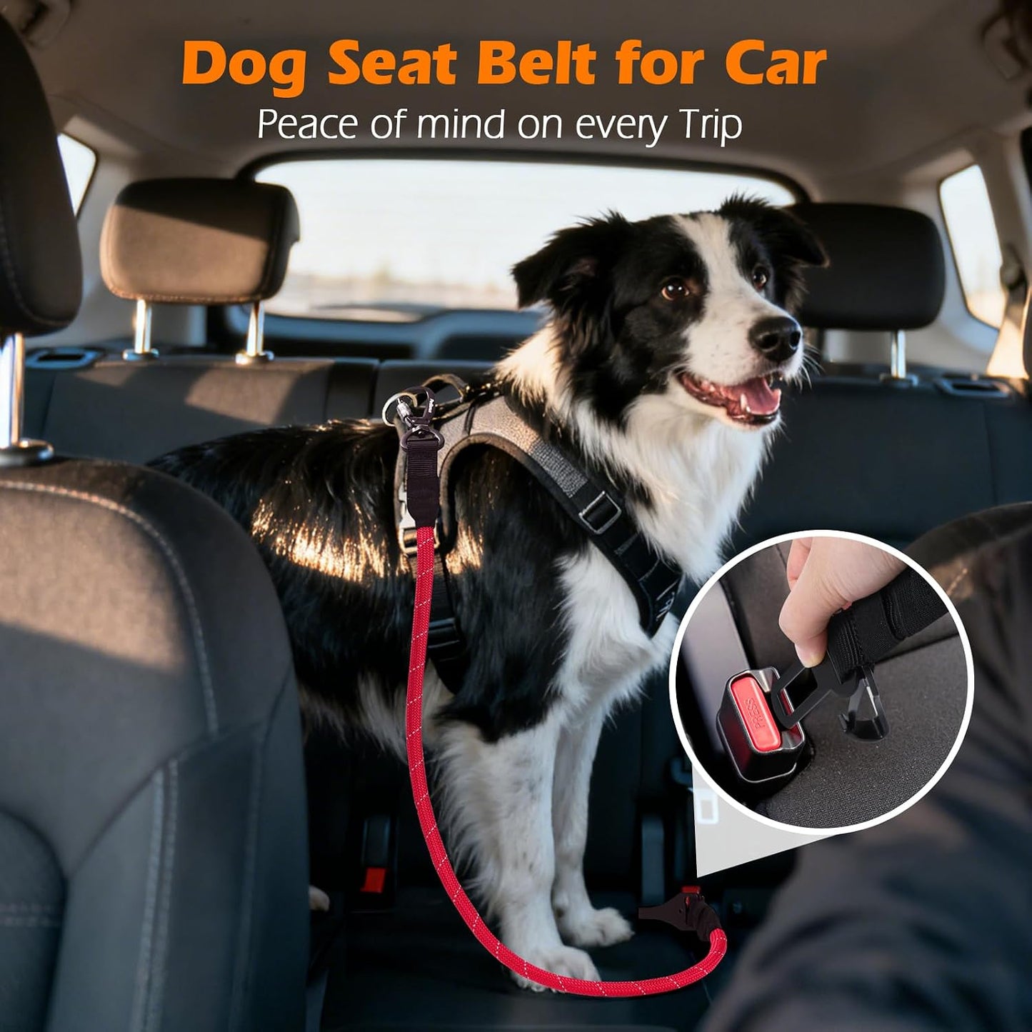 Cinturón seguridad perro automóvil cuerda duradera